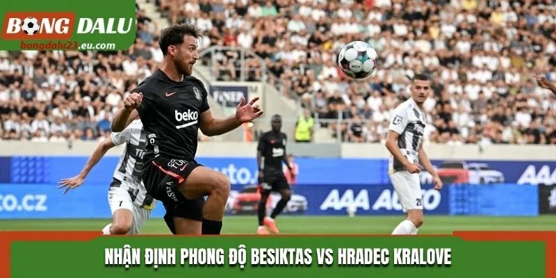 Nhận định phong độ Besiktas vs Hradec Kralove